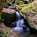 수원-2007 이미지