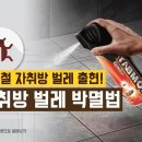 미래클린 이미지