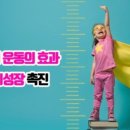 수 파워점핑 줄넘기 태권도장 이미지
