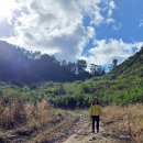 서종요양병원 | 자율신경 조절치료 집중과정 34기(&#39;22년 1월 3일~2월 10일) 총6주 참가안내_청평활명요양병원