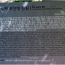 순천-25호 Daum카페