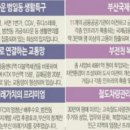 다인로얄팰리스2차 이미지