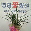 신명화원
