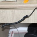 파스텔 아이 안경원 이미지