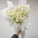 태장마루도서관(망포동) 이미지