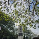 장항공원 화장실 이미지