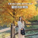 자생원 | 서울 근교 단풍 구경 | 물향기수목원 주차,산책 동선 후기