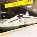 입석 티스토리