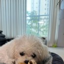 솥밥집 이천마장점 이미지