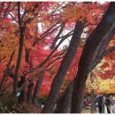 2019-주104 이미지