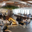 위드펫종합동물병원 이미지