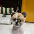 멜팅그루밍 이미지