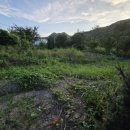 비앤비공인중개사사무소 이미지