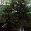 언니네3층 이미지