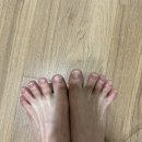 나의발