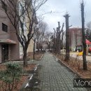 신시가지 이미지