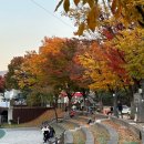2023.10.22-10.28 주간일기 (한국민속촌, 기온별 옷차림, 접영 허리 부상)