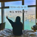 세븐일레븐 부산광안오션점 | 부산 광안대교 오션뷰 숙소 추천, 파크하얏트 부산 내돈내산 후기