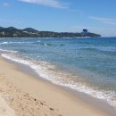 옥계해수욕장(숲) 이미지