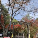 범천이골1교 | 합천 가야산 가을산행 등산코스 추천-용기골코스/가야산 단풍 개화현황(23.10.28)/블랙야크 100대 명산