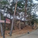 탑골임업