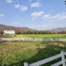 선정목장 이미지