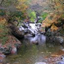 선녀탕펜션 민박 네이버블로그