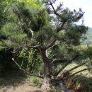 유전1농장 이미지