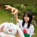 보영님 인스타그램 스토리 사진 이미지