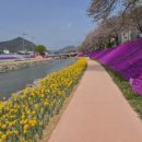 양지천3 이미지