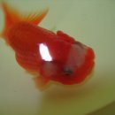 남욱농장 이미지