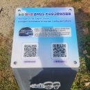 문화교통(주) | [논산 11경] 11월 가을, 배롱나무 대신 단풍! 종학당 &amp; 한국유교문화진흥원 방문 후기 (위치/교통/주차)