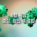 군산현대이비인후과의원 | A형 독감 후기 &amp; 꿀정보 총정리 : 아이→부모 2일 만에 전파, 수액 치료 체감 회복 (증상·원인·치료...