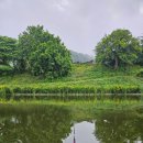 개나리낚시공원 이미지