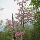 ★ 경기 가평 연인산(戀人山,1068m) ★ 이미지