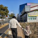 더벤티나주빛가람 이미지