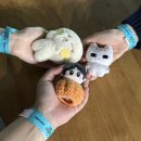 파트라슈&네로 | 2024 빠수니 결산 5탄