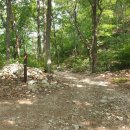 큰바위농장 이미지