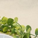 진영한의원 이미지