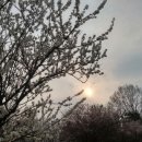 좋고좋다 이미지