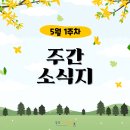 🌼감성아트센터 주간 소식지_5월 1주차