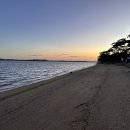 무안명가 | 톱머리항맛집 찾다가 들른 무안명가 낙지스페셜코스 후기