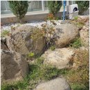 조양세탁 이미지