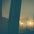 고양이 세수_설렘 이미지