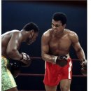 우짐 복싱 이미지