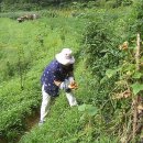 무수농장 이미지