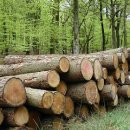 생태와 기후변화이야기 이미지