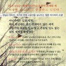 파인데이즈 이미지
