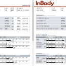 1994복싱 이미지