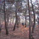 법성주유소 이미지